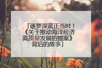 逐梦深蓝正当时！《关于推动海洋经济高质量发展的提案》背后的故事