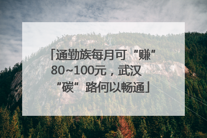 通勤族每月可“赚”80~100元，武汉“碳”路何以畅通