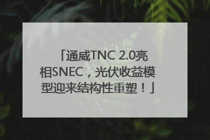 通威TNC 2.0亮相SNEC，光伏收益模型迎来结构性重塑！