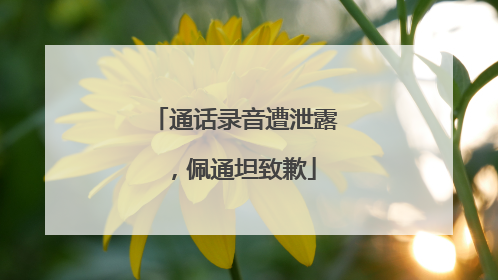通话录音遭泄露，佩通坦致歉
