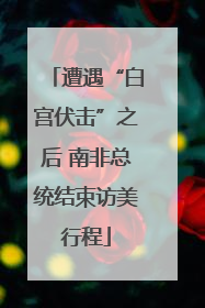 遭遇“白宫伏击”之后 南非总统结束访美行程