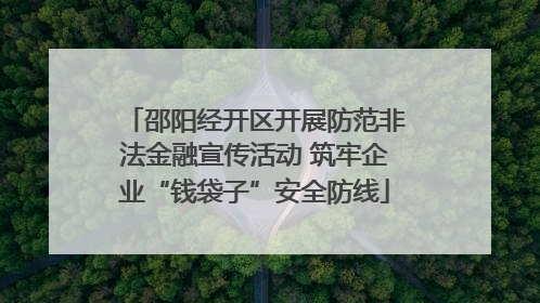 邵阳经开区开展防范非法金融宣传活动 筑牢企业“钱袋子”安全防线