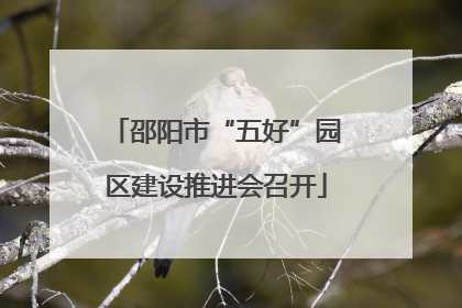 邵阳市“五好”园区建设推进会召开