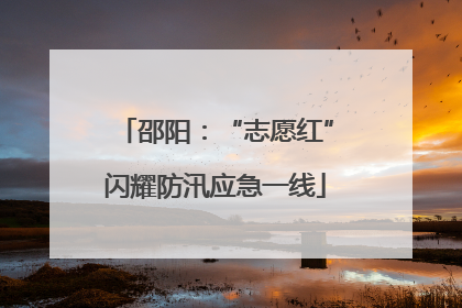 邵阳：“志愿红”闪耀防汛应急一线