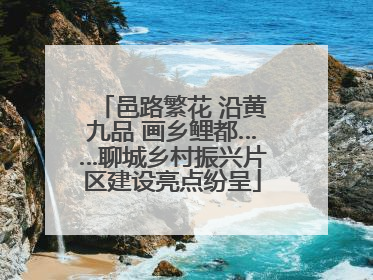 邑路繁花 沿黄九品 画乡鲤都……聊城乡村振兴片区建设亮点纷呈