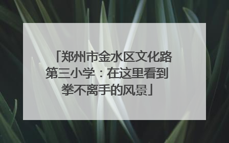 郑州市金水区文化路第三小学：在这里看到拳不离手的风景