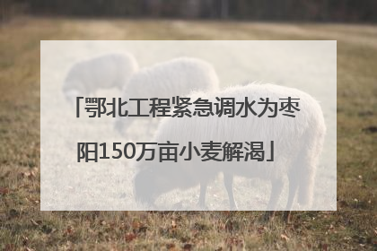 鄂北工程紧急调水为枣阳150万亩小麦解渴