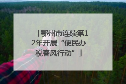 鄂州市连续第12年开展“便民办税春风行动”