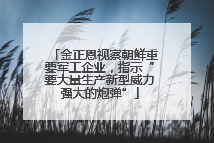 金正恩视察朝鲜重要军工企业，指示“要大量生产新型威力强大的炮弹”