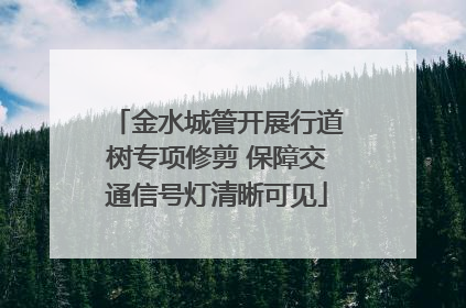 金水城管开展行道树专项修剪 保障交通信号灯清晰可见