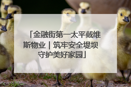 金融街第一太平戴维斯物业｜筑牢安全堤坝 守护美好家园