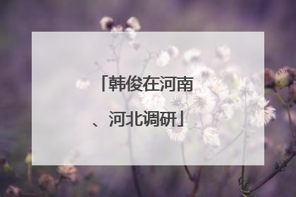 韩俊在河南、河北调研