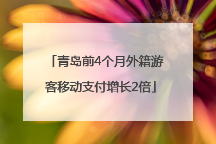青岛前4个月外籍游客移动支付增长2倍