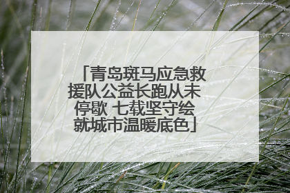 青岛斑马应急救援队公益长跑从未停歇 七载坚守绘就城市温暖底色