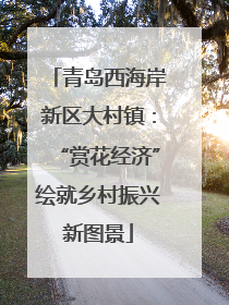 青岛西海岸新区大村镇：“赏花经济”绘就乡村振兴新图景