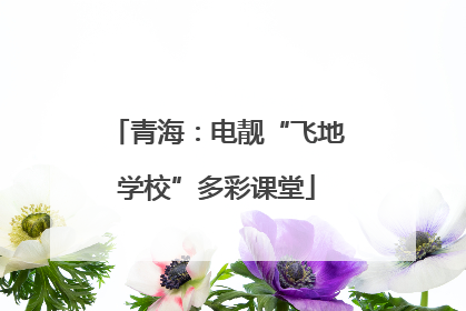 青海：电靓“飞地学校”多彩课堂
