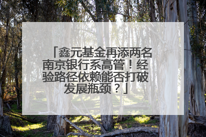 鑫元基金再添两名南京银行系高管！经验路径依赖能否打破发展瓶颈？