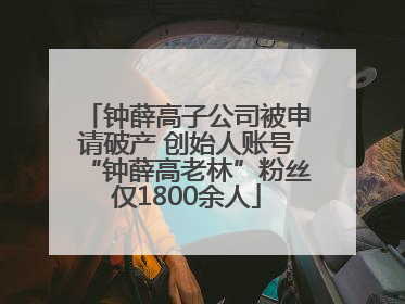 钟薛高子公司被申请破产 创始人账号“钟薛高老林”粉丝仅1800余人