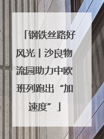 钢铁丝路好风光丨沙良物流园助力中欧班列跑出“加速度”