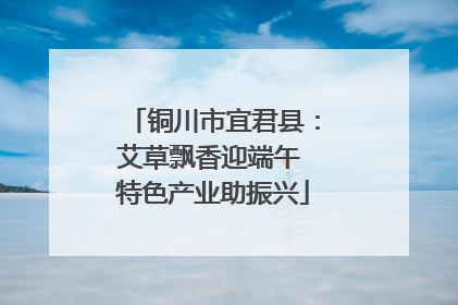 铜川市宜君县：艾草飘香迎端午 特色产业助振兴