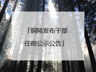 铜陵发布干部任前公示公告
