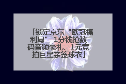 锁定京东“欧冠福利局” 1分钱抢数码音频豪礼、1元竞拍巨星亲签球衣