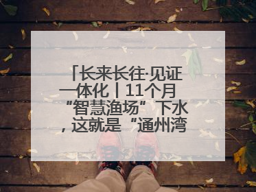 长来长往·见证一体化丨11个月“智慧渔场”下水，这就是“通州湾速度”！