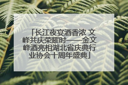 长江夜宴酒香浓 文峰共庆荣耀时——金文峰酒亮相湖北省庆典行业协会十周年盛典