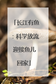 长江有鱼：科学放流 迎接鱼儿回家