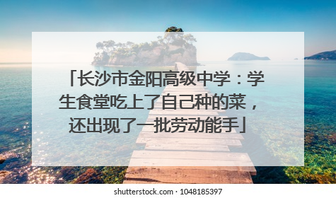长沙市金阳高级中学：学生食堂吃上了自己种的菜，还出现了一批劳动能手