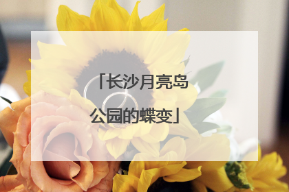 长沙月亮岛公园的蝶变