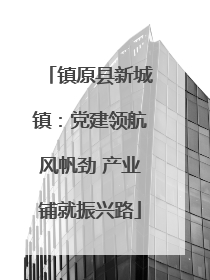 镇原县新城镇：党建领航风帆劲 产业铺就振兴路