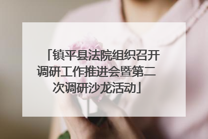 镇平县法院组织召开调研工作推进会暨第二次调研沙龙活动
