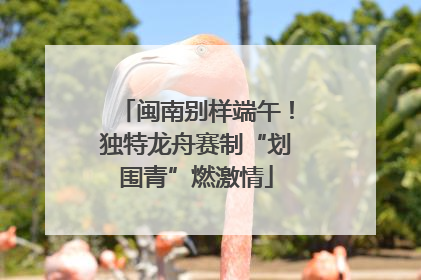 闽南别样端午！独特龙舟赛制“划围青”燃激情