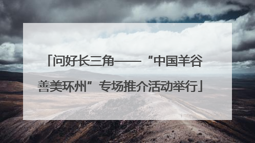 问好长三角——“中国羊谷 善美环州”专场推介活动举行