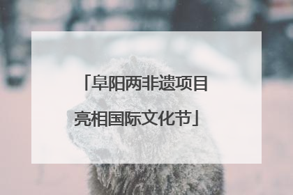 阜阳两非遗项目亮相国际文化节