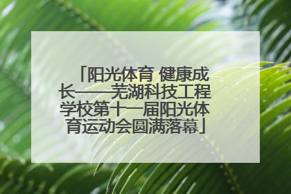 阳光体育 健康成长——芜湖科技工程学校第十一届阳光体育运动会圆满落幕