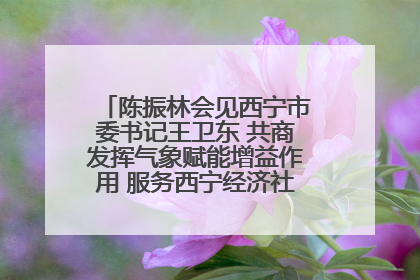 陈振林会见西宁市委书记王卫东 共商发挥气象赋能增益作用 服务西宁经济社会高质量发展