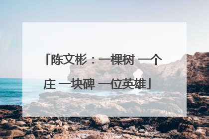 陈文彬：一棵树 一个庄 一块碑 一位英雄