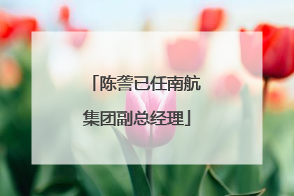 陈詟已任南航集团副总经理