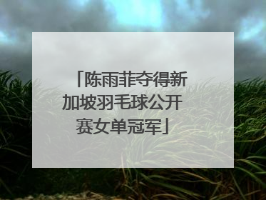 陈雨菲夺得新加坡羽毛球公开赛女单冠军