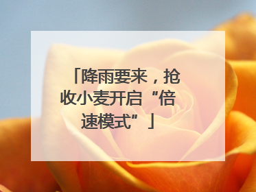 降雨要来，抢收小麦开启“倍速模式”
