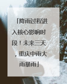 降雨过程进入核心影响时段！未来三天，重庆中雨大雨暴雨