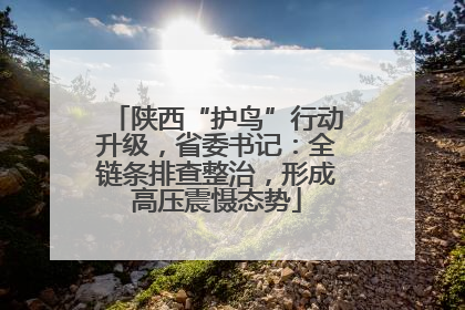 陕西“护鸟”行动升级，省委书记：全链条排查整治，形成高压震慑态势