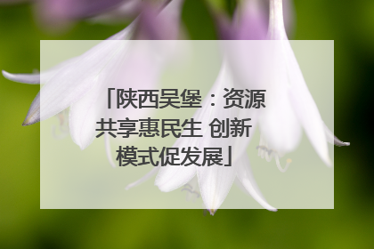 陕西吴堡：资源共享惠民生 创新模式促发展