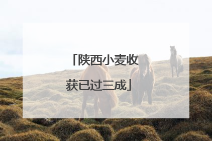 陕西小麦收获已过三成