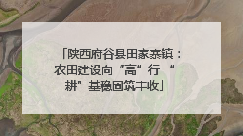 陕西府谷县田家寨镇：农田建设向“高”行 “耕”基稳固筑丰收