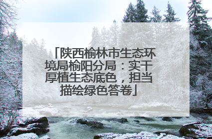 陕西榆林市生态环境局榆阳分局：实干厚植生态底色，担当描绘绿色答卷