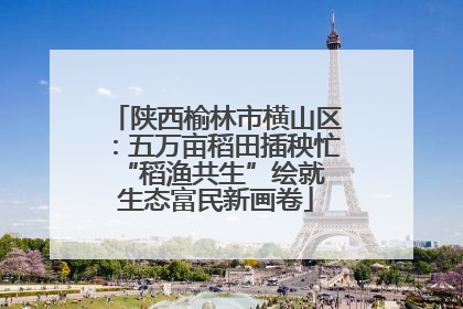 陕西榆林市横山区：五万亩稻田插秧忙 “稻渔共生”绘就生态富民新画卷