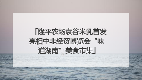 隆平农场袁谷米乳首发亮相中非经贸博览会“味道湖南”美食市集